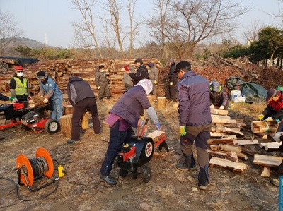 산림바이오매스.jpg