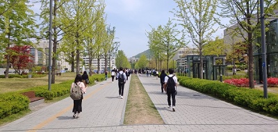 대학생취업.jpg