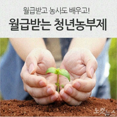 청년일자리.jpg