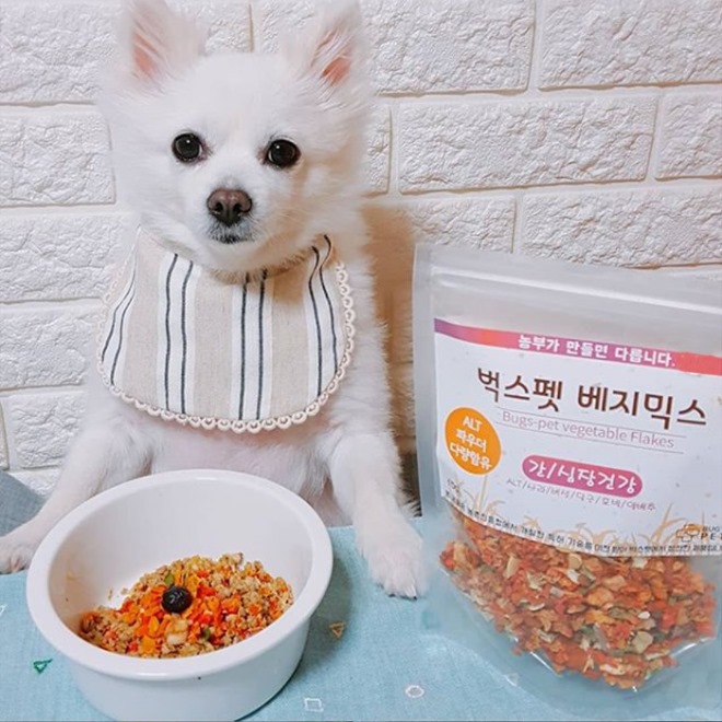 벅스펜 애견간식.jpg