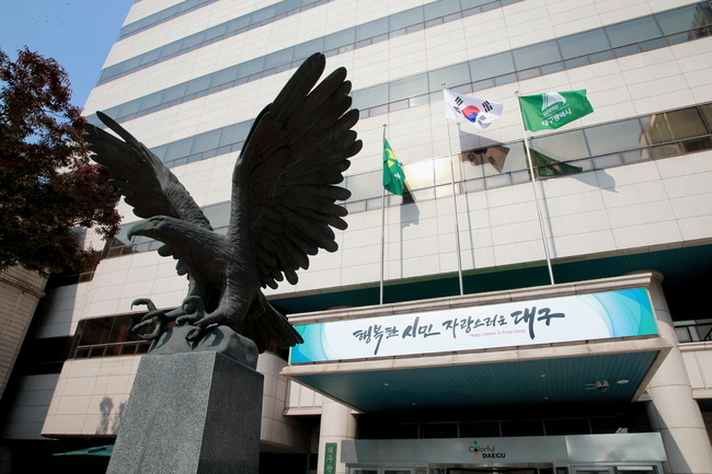 대구시 공공일자리.jpg