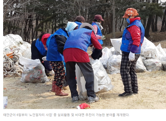 태안군 노인일자리.png