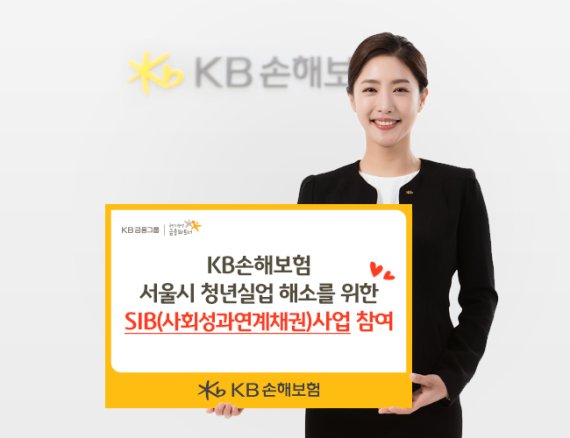kb손해보헙.jpg