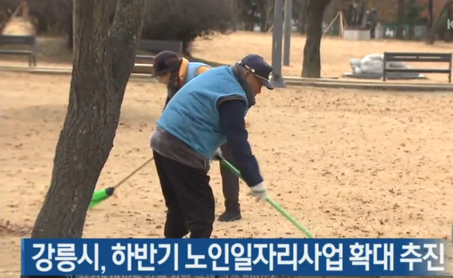 강릉시 하반기 노인일자리.png