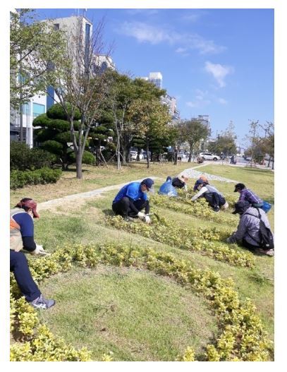 목포시 재정지원일자리.JPG