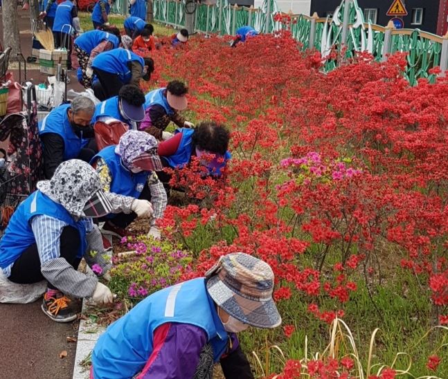 진주시 노인일자리수당.JPG
