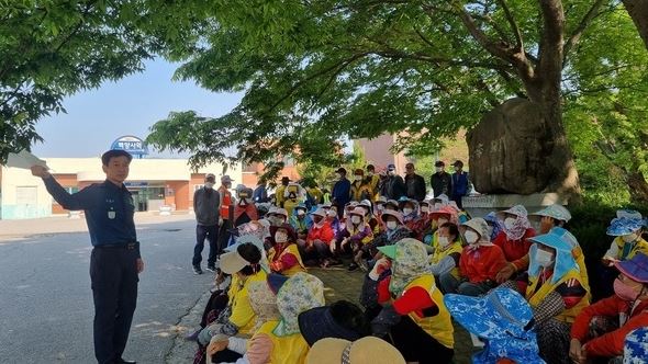 장성군 노인일자리 안전굥규.JPG