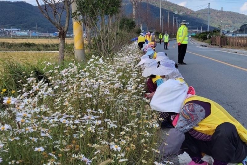 신안군 노인일자리사업.JPG